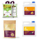 Bliss Tree Daily Essentials Combo